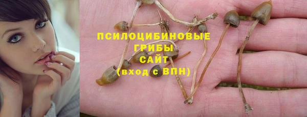 твердый Абинск
