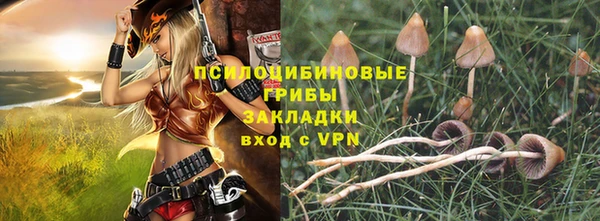 крисы Абдулино