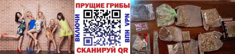 купить  цена  Кохма  это телеграм  Галлюциногенные грибы Magic Shrooms 